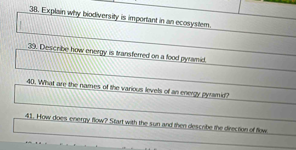 Explain why biodiversity is important in an ecosystem. 
39. Describe how energy is transferred on a food pyramid. 
40. What are the names of the various levels of an energy pyramid? 
41. How does energy flow? Start with the sun and then describe the direction of flow.