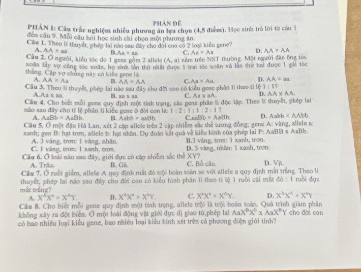 phản đẻ
PHÀN I: Câu trắc nghiệm nhiều phương án lựa chọn (4,5 điểm). Học sinh trả lời từ câu 1
đến câu 9. Mỗi câu hỏi học sinh chỉ chọn một phương án.
Câu 1. Theo li thuyết, phép lai nào sau đây cho đời con có 2 loại kiểu gene?
A. AA* aa B. Aa* aa C. Aa* Aa D. AA* AA
Câu 2. Ở người, kiểu tóc do 1 gene gồm 2 allele (A,a) nằm trên NST thường. Một người đàn ông tóc
xoãn lầy vợ cũng tóc xoãn, họ sinh lần thứ nhất được 1 trai tóc xoãn và lần thứ hai được 1 gái tóc
thăng. Cặp vợ chồng này có kiểu gene là D. AA* aa.
A. AA* Aa B. AA* AA C. Aa* Aa.
Câu 3. Theo lí thuyết, phép lai nào sau đây cho đời con có kiểu gene phân li theo tỉ 141:1
A.Aa x aa B. aa x aa C. Aa* aA. D. AA* AA.
Cầu 4. Cho biết mỗi gene quy định một tính trạng, các gene phân li độc lập. Theo lí thuyết, phép lai
nào sau đây cho tỉ lệ phân li kiều gene ở đời con là: 1:2:1:1:2:1 ?
A. AaBb* AaBb. B. Aabb* aaBb. C _aaBb* AaBb. D. Aabb* AAbb.
Câu 5. Ở một đậu Hà Lan, xét 2 cập allele trên 2 cập nhiễm sắc thể tương đồng; gene A: vàng, allele a:
xanh; gen B: hạt trơn, allele b: hạt nhăn. Dự đoán kết quả về kiểu hình của phép lai P:AaBB* AaBb.
A. 3 vàng, trơn: 1 vång, nhãn. B.3 vàng, trơn: 1 xanh, trơn.
C. 1 vàng, trơn: 1 xanh, trơn. D. 3 vàng, nhăn: 1 xanh, trơn.
Câu 6. Ở loài nào sau đây, giới dực có cặp nhiễm sắc thể XY?
A. Trâu. B. Gà. C. Bồ câu. D. Vịt.
Câu 7. Ở ruồi giấm, allele A quy định mất đỏ trội hoàn toàn so với allele a quy định mắt trắng. Theo lí
thuyết, phép Iai não sau đây cho đời con có kiểu hình phân li theo tỉ lệ 1 ruồi cái mắt đỏ : 1 ruồi đực
mắt trăng?
A. X^(wedge)X^a* X^(wedge)Y. B. X^(wedge)X^a* X^aY. C. X^aX^a* X^AY. D. X^(wedge)X^(wedge)* X^2Y
Câu 8. Cho biết mỗi gene quy định một tính trạng, allele trội là trội hoàn toàn. Quá trình giảm phân
không xảy ra đột biển. Ở một loài động vật giới đực dị giao từ,phép lai AaX^BX^b* AaX^BY cho đời con
có bao nhiêu loại kiểu gene, bao nhiêu loại kiểu hình xét trên cả phương diện giới tính?