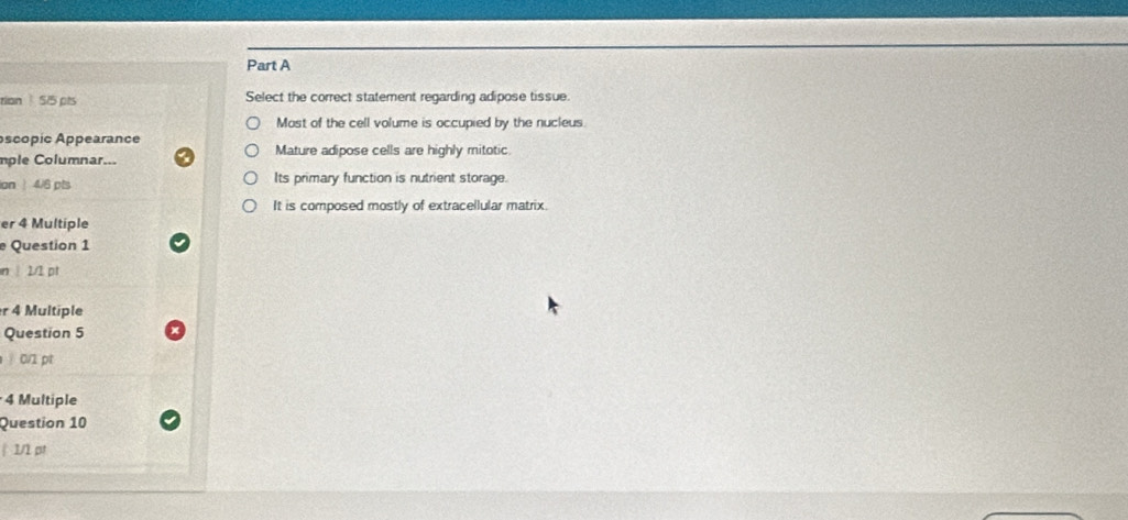 tion 515 pts Select the correct statement regarding adipose tissue. 
Most of the cell volume is occupied by the nucleus. 
Ascopic Appearance 
mple Columnar... Mature adipose cells are highly mitotic 
ian ! 4/6 pts Its primary function is nutrient storage. 
It is composed mostly of extracellular matrix. 
er 4 Multiple 
Question 1 
n 2/1 pt 
r 4 Multiple 
Question 5 
0/1 pt 
4 Multiple 
Question 10 
| 1/1 pt