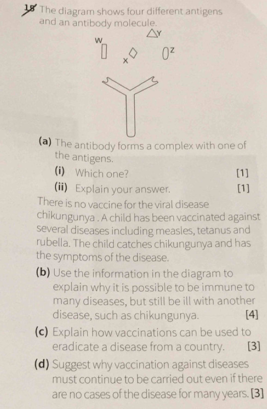 The diagram shows four different antigens 
and an antibody molecule. 
Y 
w
0^z
(a) The antibody forms a complex with one of 
the antigens. 
(i) Which one? [1] 
(ii) Explain your answer. [1] 
There is no vaccine for the viral disease 
chikungunya . A child has been vaccinated against 
several diseases including measles, tetanus and 
rubella. The child catches chikungunya and has 
the symptoms of the disease. 
(b) Use the information in the diagram to 
explain why it is possible to be immune to 
many diseases, but still be ill with another 
disease, such as chikungunya. [4] 
(c) Explain how vaccinations can be used to 
eradicate a disease from a country. 、 [3] 
(d) Suggest why vaccination against diseases 
must continue to be carried out even if there 
are no cases of the disease for many years. [3]