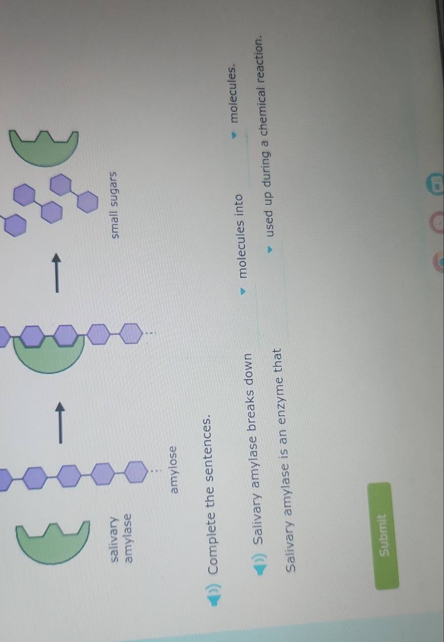 Complete the sentences. 
Salivary amylase breaks down molecules into 
molecules. 
Salivary amylase is an enzyme that used up during a chemical reaction. 
Submit