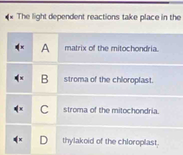 The light dependent reactions take place in the