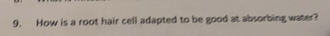 9, How is a root hair cell adapted to be good at absorbing water?