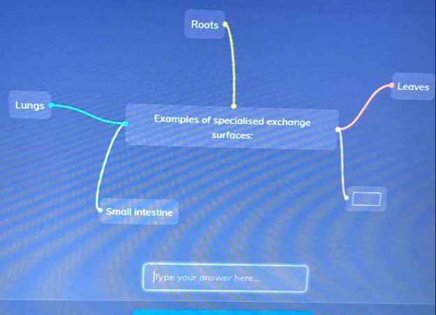 Roots 
Leaves 
Lungs 
Examples of specialised exchange 
surfaces: 
Small intestine 
]Type your answer here...