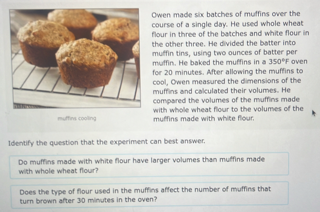 Owen made six batches of muffins over the 
course of a single day. He used whole wheat 
flour in three of the batches and white flour in 
the other three. He divided the batter into 
muffin tins, using two ounces of batter per 
muffin. He baked the muffins in a 350°F oven 
for 20 minutes. After allowing the muffins to 
cool, Owen measured the dimensions of the 
muffins and calculated their volumes. He 
compared the volumes of the muffins made 
with whole wheat flour to the volumes of the 
muffins cooling muffins made with white flour. 
Identify the question that the experiment can best answer. 
Do muffins made with white flour have larger volumes than muffins made 
with whole wheat flour? 
Does the type of flour used in the muffins affect the number of muffins that 
turn brown after 30 minutes in the oven?