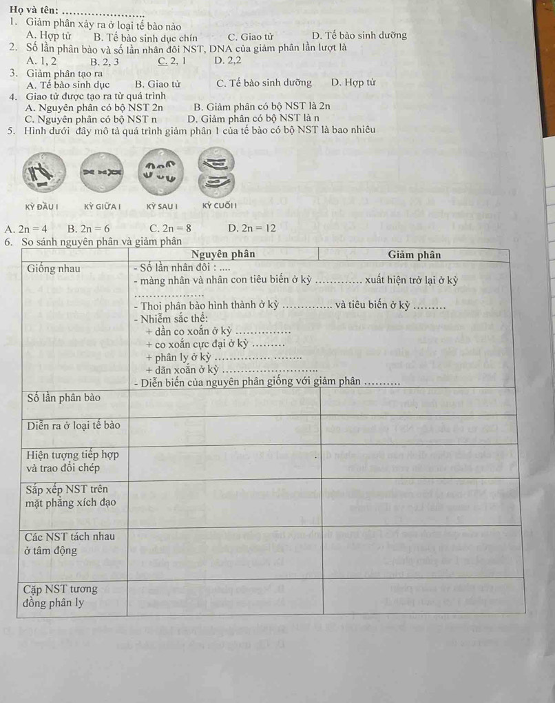 Họ và tên:_
1. Giảm phân xảy ra ở loại tế bào nào
A. Hợp tử B. Tế bào sinh dục chín C. Giao tử D. Tế bào sinh dưỡng
2. Số lần phân bảo và số lần nhân đối NST, DNA của giảm phân lần lượt là
A. 1, 2 B. 2, 3 C. 2, 1 D. 2, 2
3. Giảm phân tạo ra
A. Tế bào sinh dục B. Giao tử C. Tế bào sinh dưỡng D. Hợp tử
4. Giao tử được tạo ra từ quá trình
A. Nguyên phân có bộ NST 2n B. Giảm phân có bộ NST là 2n
C. Nguyên phân có bộ NST n D. Giảm phân có bộ NST là n
5. Hình dưới đây mô tả quá trình giảm phân 1 của tế bào có bộ NST là bao nhiêu
Kỳ đầu I Kỳ giữa I Kỳ sau I Kỳ cuối
A. 2n=4 B. 2n=6 C. 2n=8 D. 2n=12
6.