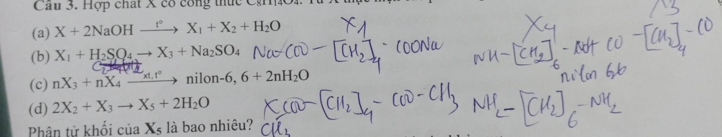 Cầu 3. Hợp chất X có công thức CgH4O4.
(a) X+2NaOHxrightarrow t°X_1+X_2+H_2O
(b) X_1+H_2SO_4to X_3+Na_2SO_4
(c) nX_3+nX_4xrightarrow * t,t°nil on-6,6+2nH_2O
(d) 2X_2+X_3to X_5+2H_2O
Phân tử khối của Xs là bao nhiêu?