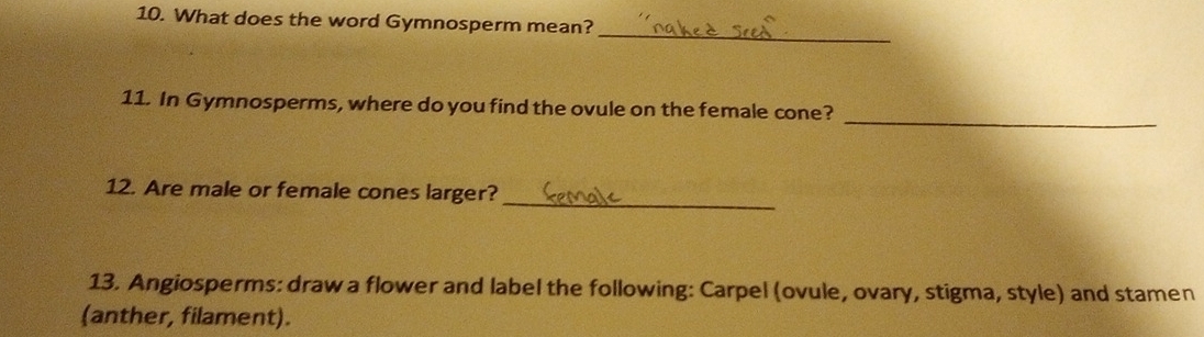 What does the word Gymnosperm mean? 
_ 
_ 
11. In Gymnosperms, where do you find the ovule on the female cone? 
_ 
12. Are male or female cones larger? 
13. Angiosperms: draw a flower and label the following: Carpel (ovule, ovary, stigma, style) and stamen 
(anther, filament).