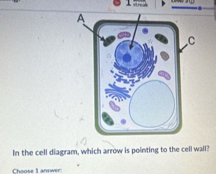 streak . 
In the cell diagram, which arrow is pointing to the cell wall? 
Choose 1 answer: