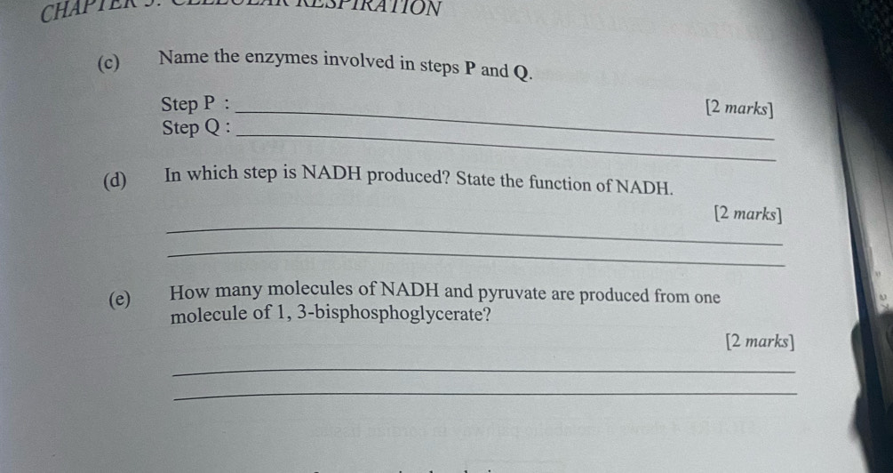 CHAPTERS 
RESPIRATION 
(c) Name the enzymes involved in steps P and Q. 
Step P : _[2 marks] 
Step Q :_ 
(d) In which step is NADH produced? State the function of NADH. 
_ 
[2 marks] 
_ 
(e) How many molecules of NADH and pyruvate are produced from one 
molecule of 1, 3 -bisphosphoglycerate? 
[2 marks] 
_ 
_