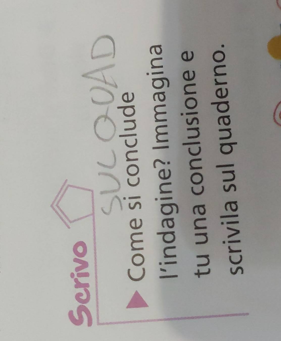 Scrivo 
l 
Come si conclude 
lindagine? Immagina 
tu una conclusione e 
scrivila sul quaderno.