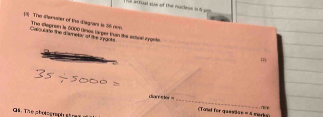 The actual sire of the nucleus is 6 pm
(ii) The diameter of the diagram is 35 mm. 
The diagram is 5000 times larger than the actual zygote. 
Calculate the diameter of the zygote. 
(2) 
_
diameter =
mm
(Total for question =4 marks) 
Q6. The photograph shown