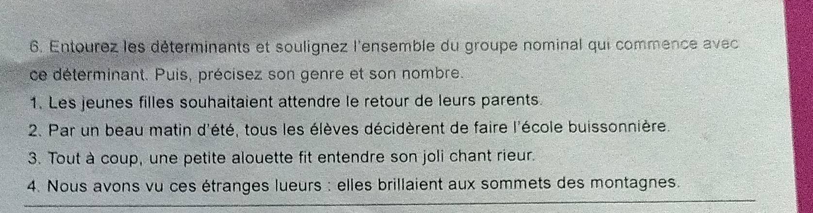 Entourez les déterminants et soulignez l'ensemble du groupe nominal qui commence avec 
ce déterminant. Puis, précisez son genre et son nombre. 
1. Les jeunes filles souhaitaient attendre le retour de leurs parents. 
2. Par un beau matin d'été, tous les élèves décidèrent de faire l'école buissonnière. 
3. Tout à coup, une petite alouette fit entendre son joli chant rieur. 
4. Nous avons vu ces étranges lueurs : elles brillaient aux sommets des montagnes.