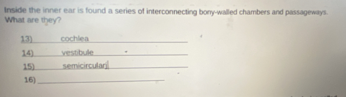 Inside the inner ear is found a series of interconnecting bony-walled chambers and passageways.
What are they?
13) cochlea
14) vestibule
15) semicircularj|
16)_