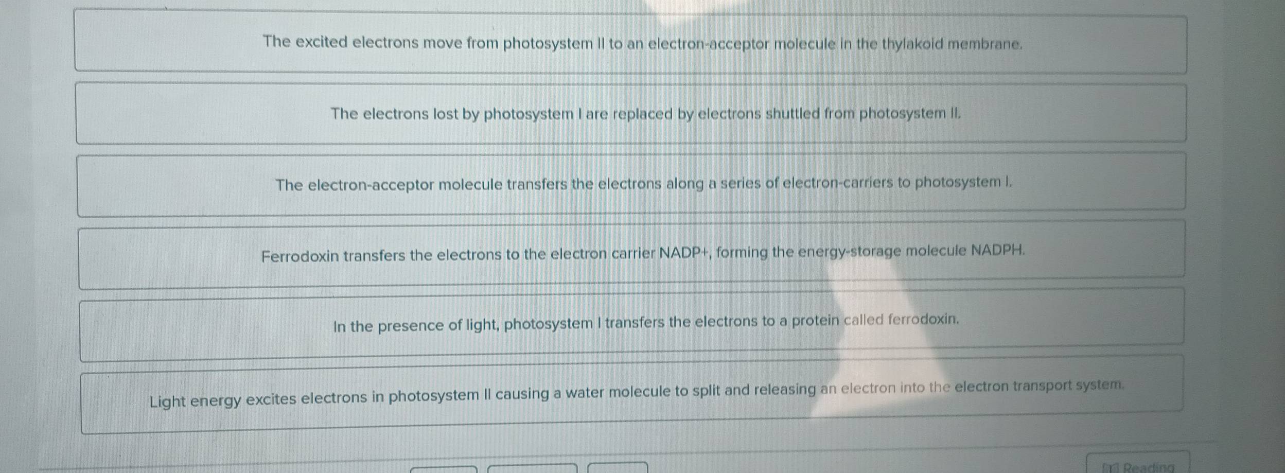 The excited electrons move from photosystem II to an electron-acceptor molecule in the thylakoid membrane.
The electrons lost by photosystem I are replaced by electrons shuttled from photosystem II.
The electron-acceptor molecule transfers the electrons along a series of electron-carriers to photosystem I.
Ferrodoxin transfers the electrons to the electron carrier NADP+, forming the energy-storage molecule NADPH.
In the presence of light, photosystem I transfers the electrons to a protein called ferrodoxin.
Light energy excites electrons in photosystem II causing a water molecule to split and releasing an electron into the electron transport system.
Reading