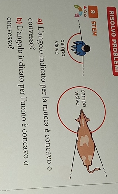 RISOLVO PROBLEMI 
9 STEM 
campo 
visivo 
a) L’angolo indicato per la mucca è concavo o 
convesso? 
b) L'angolo indicato per l'uomo è concavo o 
convesso?