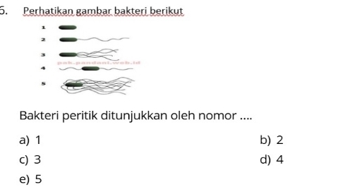 Perhatikan gambar bakteri berikut
Bakteri peritik ditunjukkan oleh nomor ....
a) 1 b) 2
c) 3 d) 4
e) 5