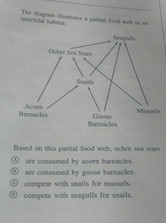 Solved: The diagram illustrates a partial food web in an intertidal ...