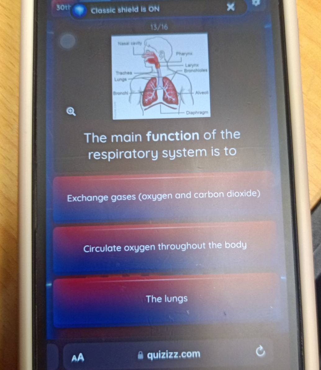 30th Classic shield is ON 
The main function of the 
respiratory system is to 
Exchange gases (oxygen and carbon dioxide) 
Circulate oxygen throughout the body 
The lungs 
AA é quizizz,com