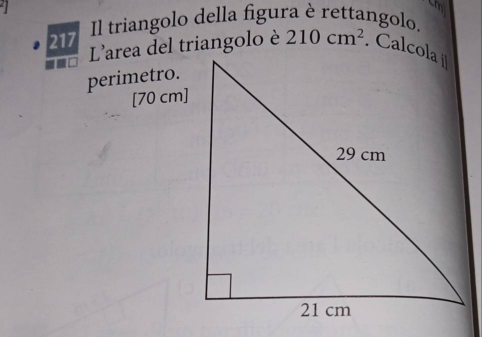 sm 
Il triangolo della figura è rettangolo. 
217 210cm^2
perimetro.
[70 cm]