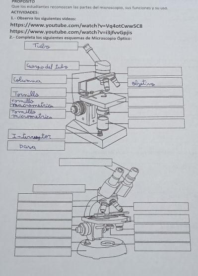 proposito 
Que los estudiantes reconozcan las partes del microscopio, sus funciones y su uso. 
ACTIVIDADES: 
1.- Observa los siguientes videos: 
https://www.youtube.com/watch? v=V q4otCww5C8 
https://www.youtube.com/watch ?v=i3 jfvvGpjis 
2.- Completa los siguientes esquemas de Microscopio Óptic