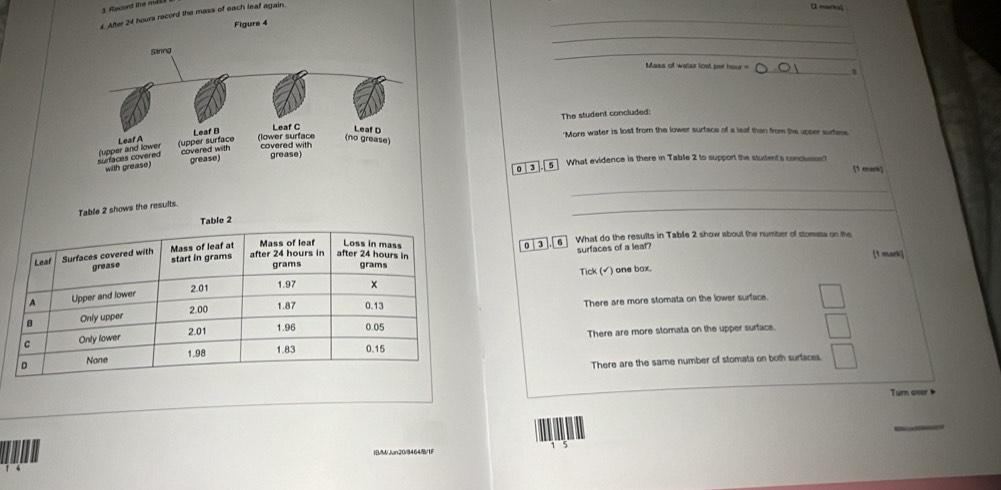 Record the mil
4. After 24 hours record the mass of each leaf again.
α markaj
Figure 4
_
_
_
_
Mass of water lost per hour =
"More water is lost from the lower surtace of a leaf than from the upper surfens
The student concluded:
] What evidence is there in Table 2 to support the student's conclusin?
0 3 (1 mark 
_
_
shows the results.
0 3 6] What do the results in Table 2 show about the number of stometa on the
surfaces of a leaf?
[1 mark]
Tick (√) one box.
There are more stomata on the lower surface.
There are more slomata on the upper surface.
There are the same number of stomata on both surfaces.
Turn over 
_
IB/W/ Jun20/3464/1F 1 5