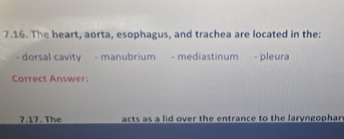 The heart, aorta, esophagus, and trachea are located in the: 
- dorsal cavity - manubrium - mediastinum - pleura 
Correct Answer: 
7.17. The acts as a lid over the entrance to the laryngophar