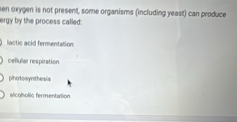 hen oxygen is not present, some organisms (including yeast) can produce
ergy by the process called:
lactic acid fermentation
cellular respiration
photosynthesis
alcoholic fermentation