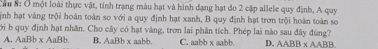 Cầu 8: Ở một loài thực vật, tính trạng màu hạt và hình dạng hạt do 2 cặp allele quy định, A quy
ịnh hạt vàng trội hoàn toàn so với a quy định hạt xanh, B quy định hạt trơn trội hoàn toàn so
ới b quy định hạt nhăn. Cho cây có hạt vàng, trơn lai phân tích. Phép lai nào sau đây đúng?
A. AaBb* AaBb. B. AaBbx aabb. C. aabb* aabb D. AABB* AABB.