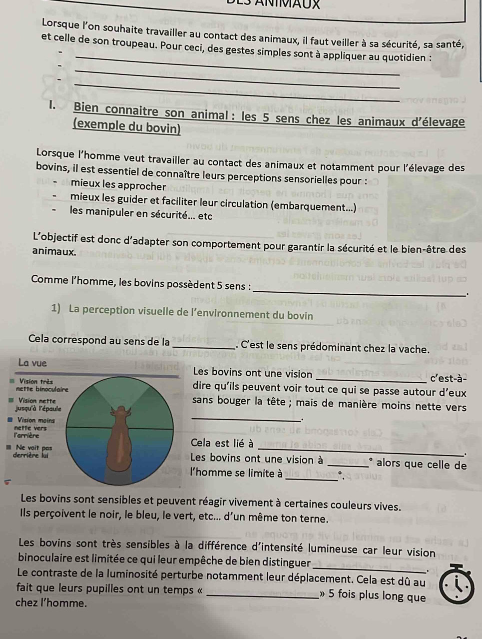 L3 ÁÑÍMAUX
Lorsque l'on souhaite travailler au contact des animaux, il faut veiller à sa sécurité, sa santé,
_
et celle de son troupeau. Pour ceci, des gestes simples sont à appliquer au quotidien :
_
_
I. Bien connaitre son animal : les 5 sens chez les animaux d'élevage
(exemple du bovin)
Lorsque l'homme veut travailler au contact des animaux et notamment pour l'élevage des
bovins, il est essentiel de connaître leurs perceptions sensorielles pour :
mieux les approcher
mieux les guider et faciliter leur circulation (embarquement...)
les manipuler en sécurité... etc
L'objectif est donc d'adapter son comportement pour garantir la sécurité et le bien-être des
animaux.
_
Comme l’homme, les bovins possèdent 5 sens :
.
1) La perception visuelle de l’environnement du bovin
Cela correspond au sens de la _. C'est le sens prédominant chez la vache.
La vue Les bovins ont une vision _c'est-à-
=Vision très dire qu'ils peuvent voir tout ce qui se passe autour d’eux
nette binoculaire
Vision nette
sans bouger la tête ; mais de manière moins nette vers
_
jusqu'à l'épaule
Vision moins .
nette vers
l'arrière Cela est lié à
derrière lui
.
≡ Ne voit pas Les bovins ont une vision à _° alors que celle de
l'homme se limite à
_。 .
Les bovins sont sensibles et peuvent réagir vivement à certaines couleurs vives.
Ils perçoivent le noir, le bleu, le vert, etc... d'un même ton terne.
Les bovins sont très sensibles à la différence d'intensité lumineuse car leur vision
_
binoculaire est limitée ce qui leur empêche de bien distinguer
.
Le contraste de la luminosité perturbe notamment leur déplacement. Cela est dû au
fait que leurs pupilles ont un temps «
_» 5 fois plus long que
chez l’homme.