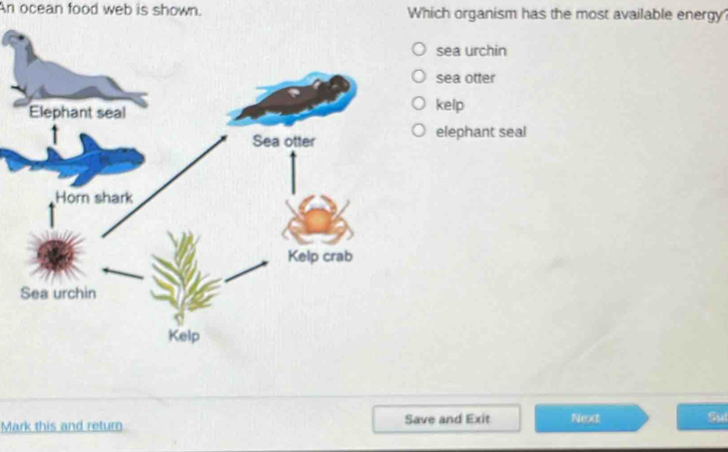 Solved: An ocean food web is shown. Which organism has the most ...