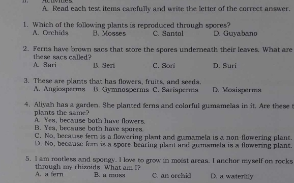 Acuvues.
A. Read each test items carefully and write the letter of the correct answer.
1. Which of the following plants is reproduced through spores?
A. Orchids B. Mosses C. Santol D. Guyabano
2. Ferns have brown sacs that store the spores underneath their leaves. What are
these sacs called?
A. Sari B. Seri C. Sori D. Suri
3. These are plants that has flowers, fruits, and seeds.
A. Angiosperms B. Gymnosperms C. Sarisperms D. Mosisperms
4. Aliyah has a garden. She planted ferns and colorful gumamelas in it. Are these t
plants the same?
A. Yes, because both have flowers.
B. Yes, because both have spores.
C. No, because fern is a flowering plant and gumamela is a non-flowering plant.
D. No, because fern is a spore-bearing plant and gumamela is a flowering plant.
5. I am rootless and spongy. I love to grow in moist areas. I anchor myself on rocks
through my rhizoids. What am I?
A. a fern B. a moss C. an orchid D. a waterlily