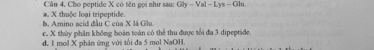 Cho peptide X có tên gọi như sau: Gly - Val - Lys - Glu.
a. X thuộc loại tripeptide.
b. Amino acid đầu C của X là Glu.
c. X thủy phân không hoàn toàn có thể thu được tối đa 3 dipeptide.
d. 1 mol X phản ứng với tối đa 5 mol NaOH.