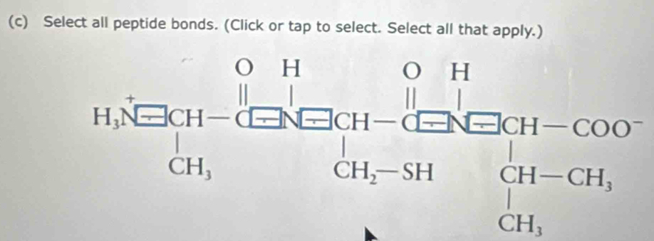 Select all peptide bonds. (Click or tap to select. Select all that apply.)
111,beginarrayr 0&11 0-(□ ;11-(□ ,],111 (31,□ ,beginarrayr 11 [311,-31endarray (31, 11-(31,011.endarray