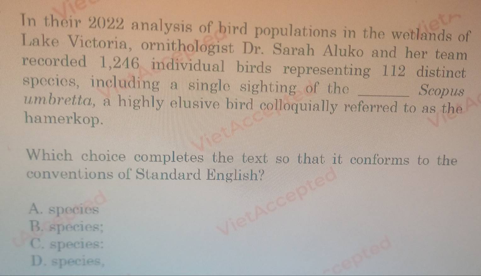 In their 2022 analysis of bird populations in the wetlands of
Lake Victoria, ornithologist Dr. Sarah Aluko and her team
recorded 1,246 individual birds representing 112 distinct
species, including a single sighting of the _Scopus
umbretta, a highly elusive bird colloquially referred to as the
hamerkop.
Which choice completes the text so that it conforms to the
conventions of Standard English?
A. species
B. species;
C. species:
D. species,