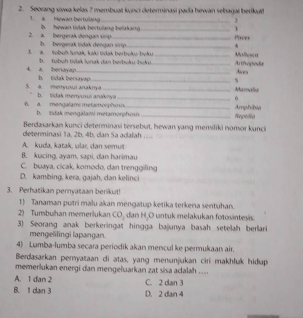 Seorang siswa kelas 7 membuat kunci determinasi pada hewan sebagai berikut!
1. a. Hewan bertulang 3
b. hewan tidak bertulang belakang 1
2. a. bergerak dengan sirip Pisces
b. bergerak tidak dengan sirip 4
3. a. tubuh lunak, kaki tidak berbuku-buku Mollusca
b. tubuh tidak lunak dan berbuku-buku. Arthopoda
4. a. bersayap Aves
b. tidak bersayap
5. a. menyusui anaknya Mamalia
b. tidak menyusui anaknya
6. a. mengalami metamorphosis Amphibia
b. tidak mengalami metamorphosis Reptilia
Berdasarkan kunci determinasi tersebut, hewan yang memiliki nomor kunci
determinasi 1a, 2b, 4b, dan 5a adalah ….
A. kuda, katak, ular, dan semut
B. kucing, ayam, sapi, dan harimau
C. buaya, cicak, komodo, dan trenggiling
D. kambing, kera, gajah, dan kelinci
3. Perhatikan pernyataan berikut!
1) Tanaman putri malu akan mengatup ketika terkena sentuhan.
2) Tumbuhan memerlukan CO_2 dan H,O untuk melakukan fotosintesis.
3) Seorang anak berkeringat hingga bajunya basah setelah berlari 
mengelilingi lapangan.
4) Lumba-lumba secara periodik akan mencul ke permukaan air.
Berdasarkan pernyataan di atas, yang menunjukan ciri makhluk hidup
memerlukan energi dan mengeluarkan zat sisa adalah ....
A. 1 dan 2 C. 2 dan 3
B. 1 dan 3 D. 2 dan 4