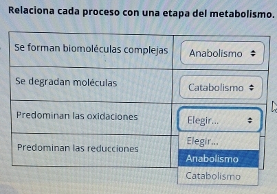 Relaciona cada proceso con una etapa del metabolismo.