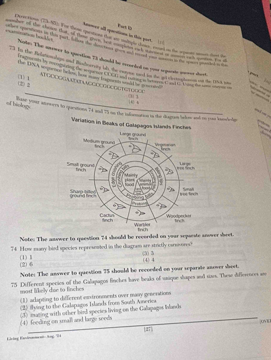 Answer all questions in this part. 
Derections overline J-8) 5): For those questions that are multiple choice, record os the separate auoses theet t
asumber of the choice that, of those given, best completes each statement or amwerk each queition. For a
other questions in this part, follow the directions given and record your answers in the spaes prosided in th
examination booklet Note: The answer to question 73 should be recorded on your separate anwer sheet
73 In the Relationships and Biodiversity lab, the enzyme used for the gel electrophoress out the DNA int T 4r
fragments by recognizing the sequence CCGG and cutting in between C and G 'Using the same cnzyme n
the DNA sequence below, how many fragments would be generated?
pact.□
(1) 1 ATGCCGGAATATAAGGCCGGCGGTGTGGGC
(2) 2
(3) 3
(4) A
of biology
and on y
Base your answers to questions 74 and 75 on the information in the diagram below and on your knowledg systein eseatd đum
Variation in Beaks of Galapagos Islands Finches
Note: The answer to question 74 should be recorded on your separate answer sheet.
74 How many bird species represented in the diagram are strictly carnivores?
(3) 3
(1) 1 (4) 4
(2) 6
Note: The answer to question 75 should be recorded on your separate answer sheet.
75 Different species of the Galapagos finches have beaks of unique shapes and sizes. These differences are
most likely due to finches
(1) adapting to different environments over many generations
(2) flying to the Galapagos Islands from South America
(3) mating with other bird species living on the Galapagos Islands
(4) feeding on small and large seeds
[27] [OVEI
Living Environment- Aug. '24