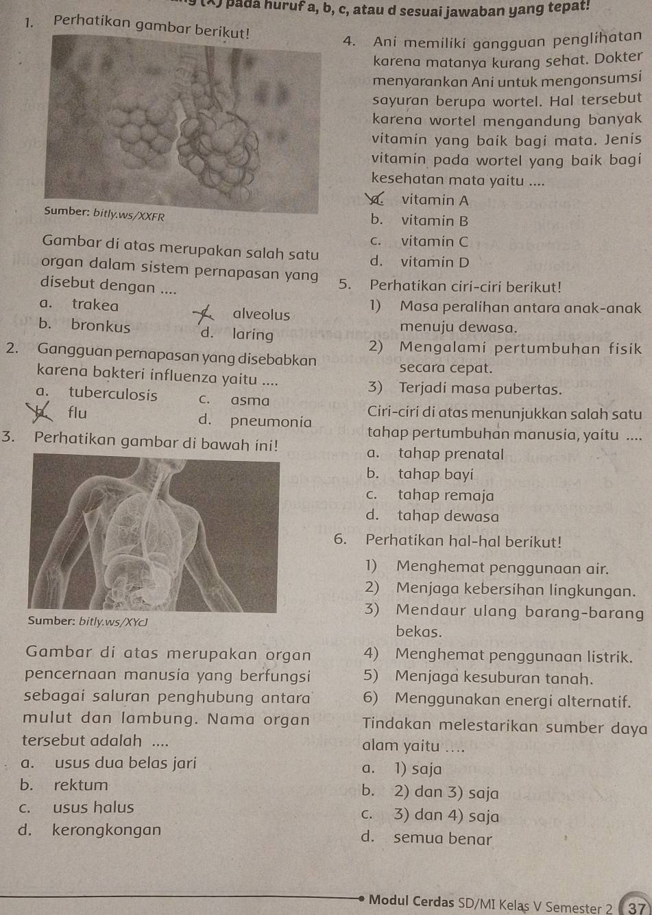 pada huruf a, b, c, atau d sesuai jawaban yang tepat!
1. Perhatikan gambar
4. Ani memiliki gangguan penglihatan
karena matanya kurang sehat. Dokter
menyarankan Ani untuk mengonsumsi
sayuran berupa wortel. Hal tersebut
karena wortel mengandung banyak
vitamin yang baik bagi mata. Jenis
vitamin pada wortel yang baik bagi
kesehatan mata yaitu ....
vitamin A
b. vitamin B
c. vitamin C
Gambar di atas merupakan salah satu d. vitamin D
organ dalam sistem pernapasan yang 5. Perhatikan ciri-ciri berikut!
disebut dengan ....
a. trakea alveolus 1) Masa peralihan antara anak-anak
b. bronkus d. laring menuju dewasa.
2) Mengalami pertumbuhan fisik
2. Gangguan pernapasan yang disebabkan
secara cepat.
karena bakteri influenza yaitu ....
3) Terjadi masa pubertas.
a. tuberculosis c. asma
Ciri-ciri di atas menunjukkan salah satu
flu d. pneumonia tahap pertumbuhan manusia, yaitu ....
3. Perhatikan gambar di bawah ini!
a. tahap prenatal
b. tahap bayi
c. tahap remaja
d. tahap dewasa
6. Perhatikan hal-hal berikut!
1) Menghemat penggunaan air.
2) Menjaga kebersihan lingkungan.
3) Mendaur ulang barang-barang
Sumber: bitly.ws/XYcJ bekas.
Gambar di atas merupakan organ 4) Menghemat penggunaan listrik.
pencernaan manusia yang berfungsi 5) Menjaga kesuburan tanah.
sebagai saluran penghubung antara 6) Menggunakan energi alternatif.
mulut dan lambung. Nama organ Tindakan melestarikan sumber daya
tersebut adalah .... alam yaitu ....
a. usus dua belas jari a. 1) saja
b. rektum b. 2) dan 3) saja
c. usus halus c. 3) dan 4) saja
d. kerongkongan d. semua benar
Modul Cerdas SD/MI Kelas V Semester 2 37