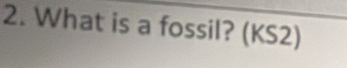 What is a fossil? (KS2)