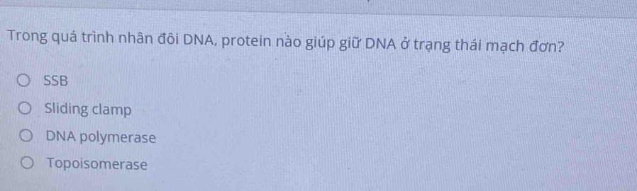 Trong quá trình nhân đôi DNA, protein nào giúp giữ DNA ở trạng thái mạch đơn?
SSB
Sliding clamp
DNA polymerase
Topoisomerase