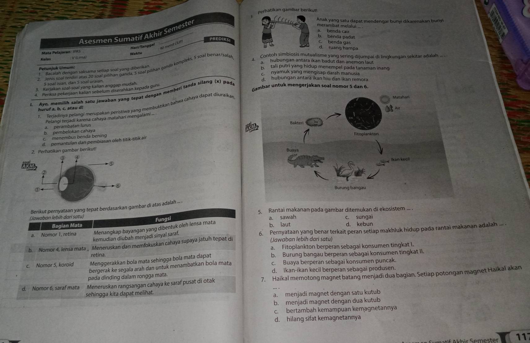 Perhatikan gambar berikut!
Anak yang satu dapat mendengar bunyi dikarenakan bunyi
merambat melalui ... .
a. benda cair
Asesmen Sumatif Akhir Semester
b. benda padat
90 menit (3JP)
PREDIKSc. benda gas
Hari/Tanggal
d. ruang hampa
Mata Pelajaran : IPAS
V (Líma) Waktu
4. Contoh simbiosis mutualisme yang sering dijumpai di lingkungan sekitar adalah .. .
a  hubungan antara ikan badut dan anemon laut
Jenis soal terdiri atas 20 soal pilihan ganda, 5 soal pilihan ganda kompleks, 5 soal benar/salah
Petunjuk Umum:
1. Bacalah dengan saksama setiap soal yang diberikan
b. tali putri yang hidup menempel pada tanaman inang
c nyamuk yang mengisap darah manusia
d. hubungan antara ikan hiu dan ikan remora
5 soal isian, dan 5 soal uraian.
3. Kerjakan soal-soal yang kalian anggap mudah.
4. Periksa pekerjaan kalian sebelum diserahkan kepada guru.
Gambar untuk mengerjakan soal nomor 5 dan 6.
1. Ayo, memilih salah satu jawaban yang tepat dengan memberi tanda silang (x) pada
1. Terjadinya pelangi merupakan peristiwa yang membuktikan bahwa cahaya dapat diuraikan
huruf a, b, c, atau d!
Pelangi terjadí karena cahaya matahari mengalami ... .
a. perambatan lurus
b pembeľokan cahaya
c menembus benda bening
d. pemantulan dan pembiasan oleh titik-titik air
2. Perhatikan gambar berikut! 
③
AKM ⑤
⑥ 
a
Berikut pernyataan yang tepat berdasarkan gambar di atas adalah ... .
5. Rantai makanan pada gambar ditemukan di ekosistem ... .
(Jawaban lebih dari satu) c. sungai
Fungsi
Bagian Mata a. sawah
a. Nomor 1, retina Menangkap bayangan yang dibentuk oleh lensa mata
b. laut d. kebun
kemudian diubah menjadi sinyal saraf. 6. Pernyataan yang benar terkait peran setiap makhluk hidup pada rantai makanan adalah ... .
b. Nomor 4, lensa mata  Meneruskan dan memfokuskan cahaya supaya jatuh tepat di
(Jawaban lebih dari satu)
a. Fitoplankton berperan sebagai konsumen tingkat I.
retina.
c. Nomor 5, koroid Menggerakkan bola mata sehingga bola mata dapat b. Burung bangau berperan sebagai konsumen tingkat II.
bergerak ke segala arah dan untuk menambatkan bola mata c. Buaya berperan sebagai konsumen puncak.
d. Ikan-ikan kecil berperan sebagai produsen.
pada dinding dalam rongga mata.
d. Nomor 6, saraf mata Meneruskan rangsangan cahaya ke saraf pusat di otak 7. Haikal memotong magnet batang menjadi dua bagian. Setiap potongan magnet Haikal akan
sehingga kita dapat melihat.
a. menjadi magnet dengan satu kutub
b. menjadi magnet dengan dua kutub
c. bertambah kemampuan kemagnetannya
d. hilang sifat kemagnetannya
117