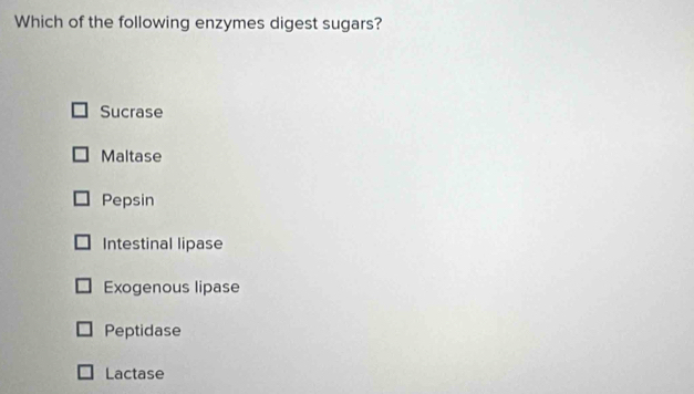 Which of the following enzymes digest sugars?
Sucrase
Maltase
Pepsin
Intestinal lipase
Exogenous lipase
Peptidase
Lactase