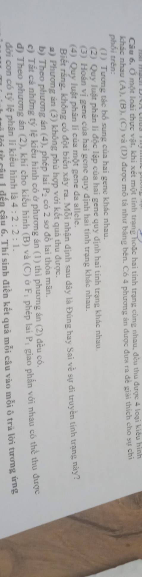 Ở một loài thực vật, khi xét một tính trạng hoặc hai tính trạng cùng nhau, đều thu được 4 loại kiêu hình
khác nhau (A), (B), (C) và (D) được mô tả như bảng bên. Có 4 phương án được đưa ra đề giải thích cho sự chi
phối trên:
(1) Tương tác bổ sung của hai gene khác nhau.
(2) Quy luật phân li độc lập của hai gene quy định hai tính trạng khác nhau.
(3) Hoán vị gene của hai gene quy định hai tính trạng khác nhau.
(4) Quy luật phân li của một gene đa allele.
Biết rằng, không có đột biến xảy ra. Mỗi nhận định sau đây là Đúng hay Sai về sự di truyền tính trạng này?
a) Phương án (3) không phù hợp với kết quả thu được.
b) Theo phương án (4), phép lai P_2 có 2 sơ đồ lai thỏa mãn.
c) Tất cả những tỷ lệ kiểu hình có ở phương án (1) thì phương án (2) đều có.
d) Theo phương án (2), khi cho kiểu hình (B) và (C) ở F_1 phép lai P_1 giao phấn với nhau có thể thu được
đời con có tỷ lệ phân li kiểu hình là 4:2:2:1. 
lờ từ câu 1 đến câu 6. Thí sinh điền kết quả mỗi câu vào mỗi ô trả lời tương ứng