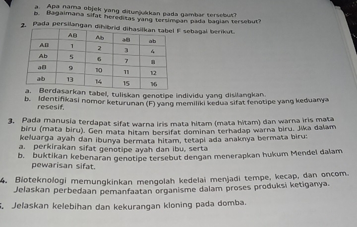 Apa nama objek yang ditunjukkan pada gambar tersebut? 
b. Bagaimana sifat hereditas yang tersimpan pada bagian tersebut? 
2. Pada persilangan dihib sebagai berikut. 
kan tabel, tuliskan genotipe individu yang disilangkan. 
b. Identifikasi nomor keturunan (F) yang memiliki kedua sifat fenotipe yang keduanya 
resesif. 
3. Pada manusia terdapat sifat warna iris mata hitam (mata hitam) dan warna iris mata 
biru (mata biru). Gen mata hitam bersifat dominan terhadap warna biru. Jika dalam 
keluarga ayah dan ibunya bermata hitam, tetapi ada anaknya bermata biru: 
a. perkirakan sifat genotipe ayah dan ibu, serta 
b. buktikan kebenaran genøtipe tersebut dengan menerapkan hukum Mendel dalam 
pewarisan sifat. 
4. Bioteknologi memungkinkan mengolah kedelai menjadi tempe, kecap, dan oncom. 
Jelaskan perbedaan pemanfaatan organisme dalam proses produksi ketiganya. 
. Jelaskan kelebihan dan kekurangan kloning pada domba.