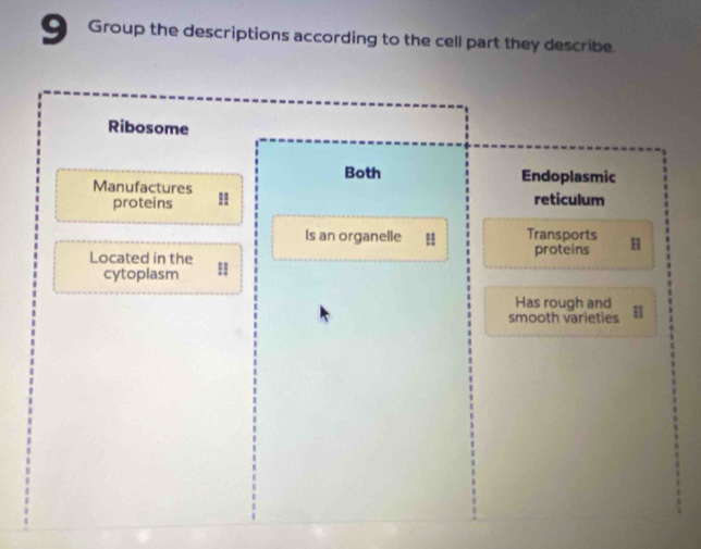 Group the descriptions according to the cell part they describe
Ribosome
Both Endoplasmic
Manufactures H
proteins reticulum
Is an organelle Transports
Located in the proteins
cytoplasm
Has rough and
smooth varieties