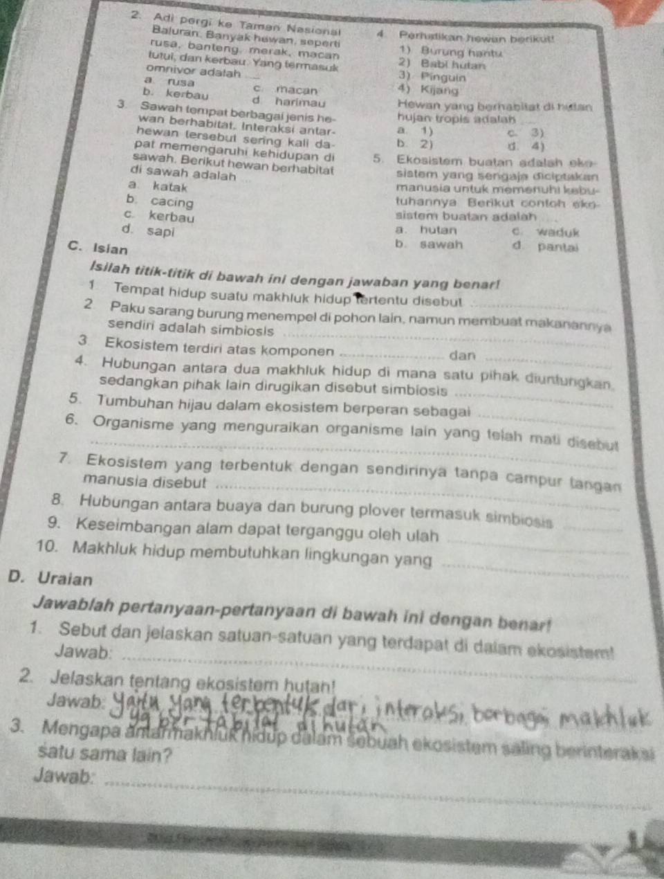 Adi porgi ke Taman Nasional 4. Perhstikan hewan berikut!
Baluran, Banyak hewan, sepert
rusa, banteng, merak, macan 1) Burung hantu
tutui, dan kerbau. Yang termasuk 2) Babi hutan
omnivor adatah 3) Pínguin
a rusa _c macan 4) Kijang
b. kerbau d harimau
Hewan yang berhabitat di hutan
3. Sawah tempat berbagal jenis he hujan tropis adalah_
wan berhabitat. Interaksi antar. a. 1)
c. 3)
hewan tersebut sering kali da- b. 2) d. 4)
pat memengaruhi kehidupan di 5. Ekosistem buatan adalah ek
sawah. Berikut hewan berhabitat sistem yang sengaja diciptakan 
di sawah adalah
a katak manusia untuk memenuhi kebu
b cacing
tuhannya Berikut contoh sk
c kerbau
sistem buatan adalah
d sapi
a. hutan c. waduk
C. Isian
b sawah d. pantai
Isilah titik-titik di bawah ini dengan jawaban yang benar!
1 Tempat hidup suatu makhluk hidup tertentu disebut
_
2. Paku sarang burung menempel di pohon lain, namun membuat makanannya
sendiri adalah simbiosis
3. Ekosistem terdiri atas komponen_
dan_
_
4. Hubungan antara dua makhluk hidup di mana satu pihak diunlungkan.
sedangkan pihak lain dirugikan disebut simbiosis
_
5. Tumbuhan hijau dalam ekosistem berperan sebagai
_
6. Organisme yang menguraikan organisme lain yang telah mati disebut
7. Ekosistem yang terbentuk dengan sendirinya tanpa campur tangan
manusia disebut_
8. Hubungan antara buaya dan burung plover termasuk simbiosis_
9. Keseimbangan alam dapat terganggu oleh ulah
10. Makhluk hidup membutuhkan lingkungan yang
_
D. Uraian
_
Jawablah pertanyaan-pertanyaan di bawah ini dengan benar!
_
1. Sebut dan jelaskan satuan-satuan yang terdapat di dalam ekosistem!
Jawab:
2. Jelaskan tentang ekosistem hutan!
_
Jawab:
3. Mengapa antarmaknluk nidup dalam šebuah ekosistem saling berinterakai
satu sama lain?
Jawab:_