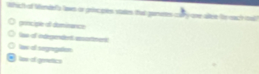 Which of Wendefs laws or grincpies staies that ganures caly one altee for each ia
grncipe of dumimance
las of indegendent assortiment
law a segragation. lon of geetics