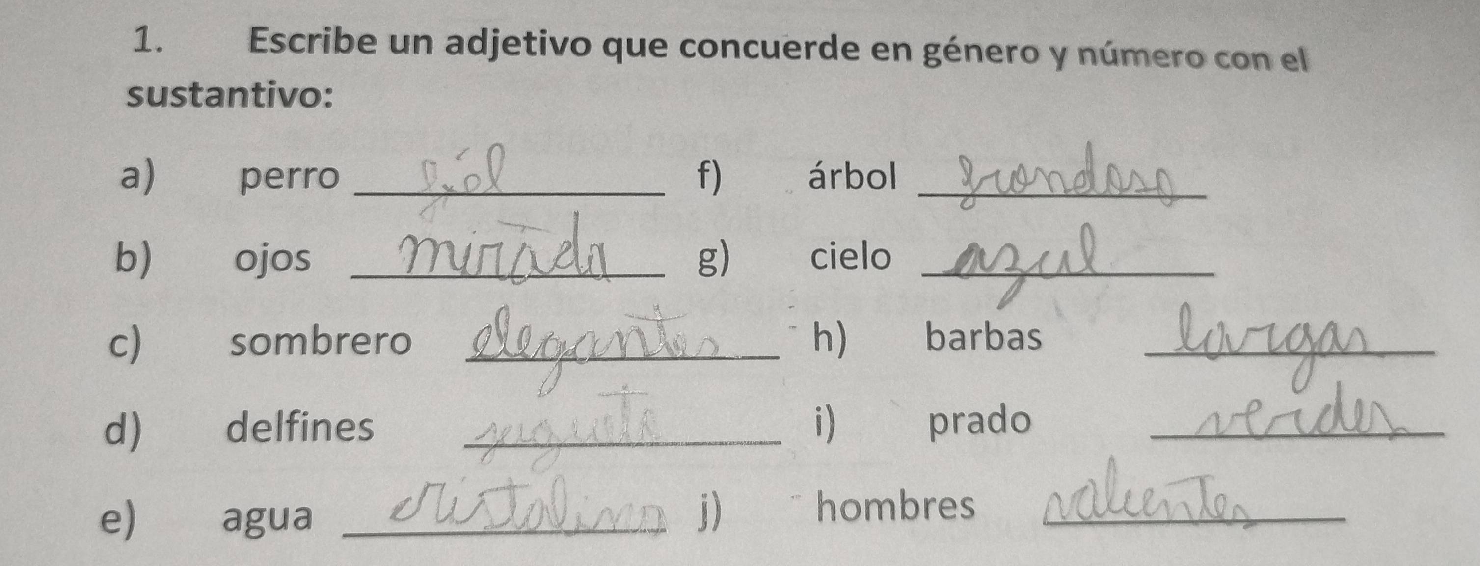 1.£ Escribe un adjetivo que concuerde en género y número con el 
sustantivo: 
a) perro _f) árbol_ 
b) ojos _g) cielo_ 
c) sombrero _h) barbas_ 
_i) prado_ 
e) agua_ 
j) hombres_