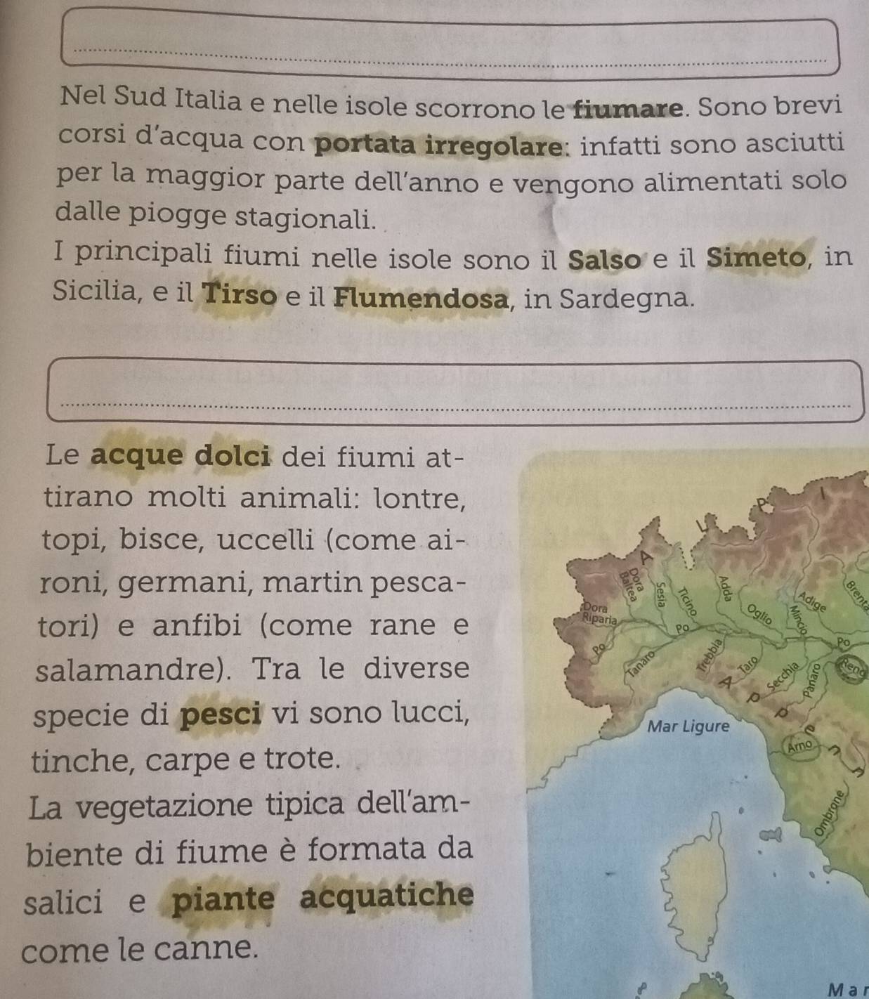 Nel Sud Italia e nelle isole scorrono le fiumare. Sono brevi 
corsi d’acqua con portata irregolare: infatti sono asciutti 
per la maggior parte dell’anno e vengono alimentati solo 
dalle piogge stagionali. 
I principali fiumi nelle isole sono il Salso e il Simeto, in 
Sicilia, e il Tirso e il Flumendosa, in Sardegna. 
_ 
Le acque dolci dei fiumi at- 
tirano molti animali: lontre, 
topi, bisce, uccelli (come ai- 
roni, germani, martin pesca- 
a 
tori) e anfibi (come rane e 
Po 
salamandre). Tra le diverse 
9 
specie di pesci vi sono lucci, 
tinche, carpe e trote. 
La vegetazione tipica dell'am- 
biente di fiume è formata da 
salici e piante acquatiche 
come le canne. 
Mar